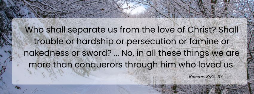 Weekly Market Insights | AI Impact Concerns Grow on Wall Street