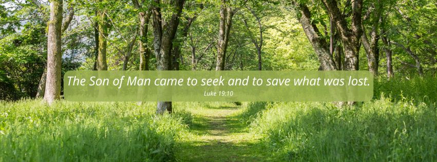 Weekly Market Insights | Mixed Week After Ceasefire